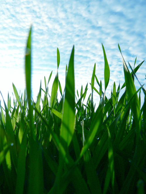 TREND SPOTTER: Breaking The Latest Green Inventions, Ideas & News 24/7