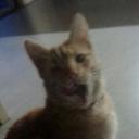 Katrine Petersen - @424d8bd142454ce - Twitter