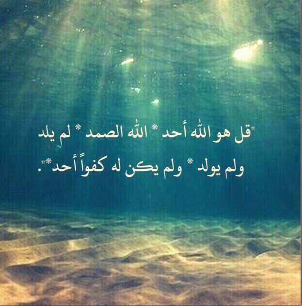 سبحان الله وبحمده سبحان الله العظيم.