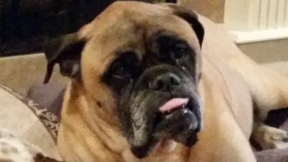 type_1life's profile picture. Pumper.  Diabetic as fuck