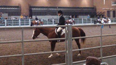 I'm happy most of the time. Horses are my life.