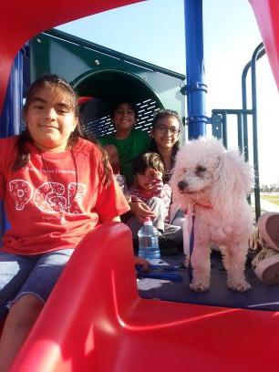 adrianagongora7's profile picture. 