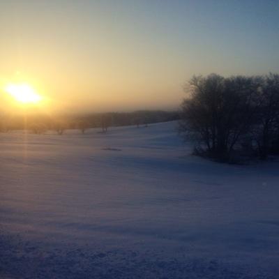 TheOilyLife's profile picture. https://t.co/9GXQFUvRi6