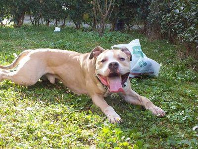 asdasd_haha1's profile picture. 