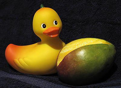 Quacking is the new Tweeting!