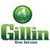 Shawn Gillin (@gillintree) Twitter profile photo
