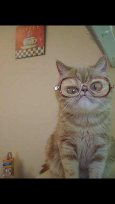 Karlijoyring's profile picture. God is most glorified in us, when we are most satisfied in Him! - J Pipes