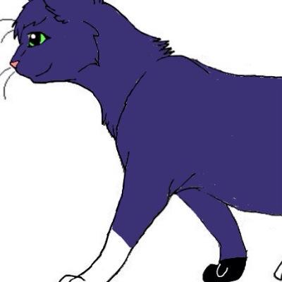 I'm Stormstar. Desc: She-cat with a dark blue pelt, thick pelt, white and black patches on my paws, Light green eyes. My love is Blackpelt. 9 Lives. 4 Kits.