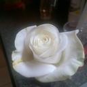 Abby Bentley - @AbbyBentley20 - Twitter