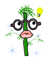 bamboolabcode's profile picture. I am the programming man.