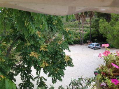 jsilverion's profile picture. 