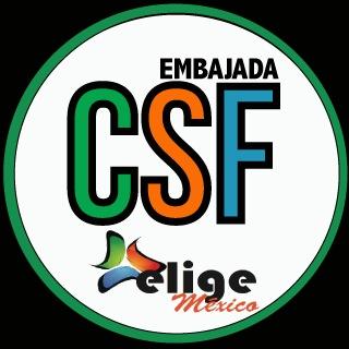 Embajada de @EligeMexico en #TecdeMty #SantaFe, jóvenes enfocados en crear conciencia y acción social en México