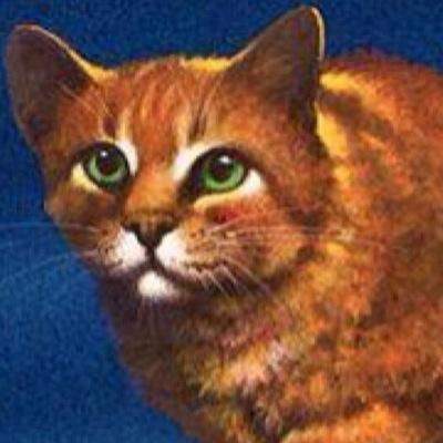 I'm not a Kittypet anymore you fuck