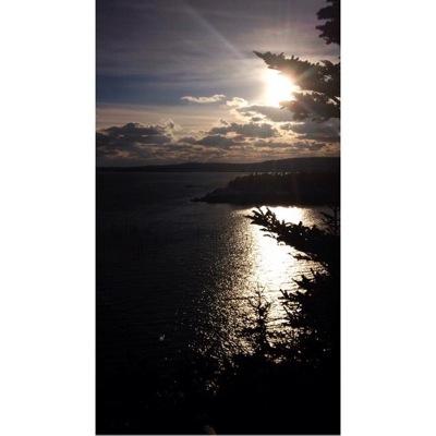 keepitsimple_16's profile picture. Whatever you decide to do, make sure it makes you happy ❃