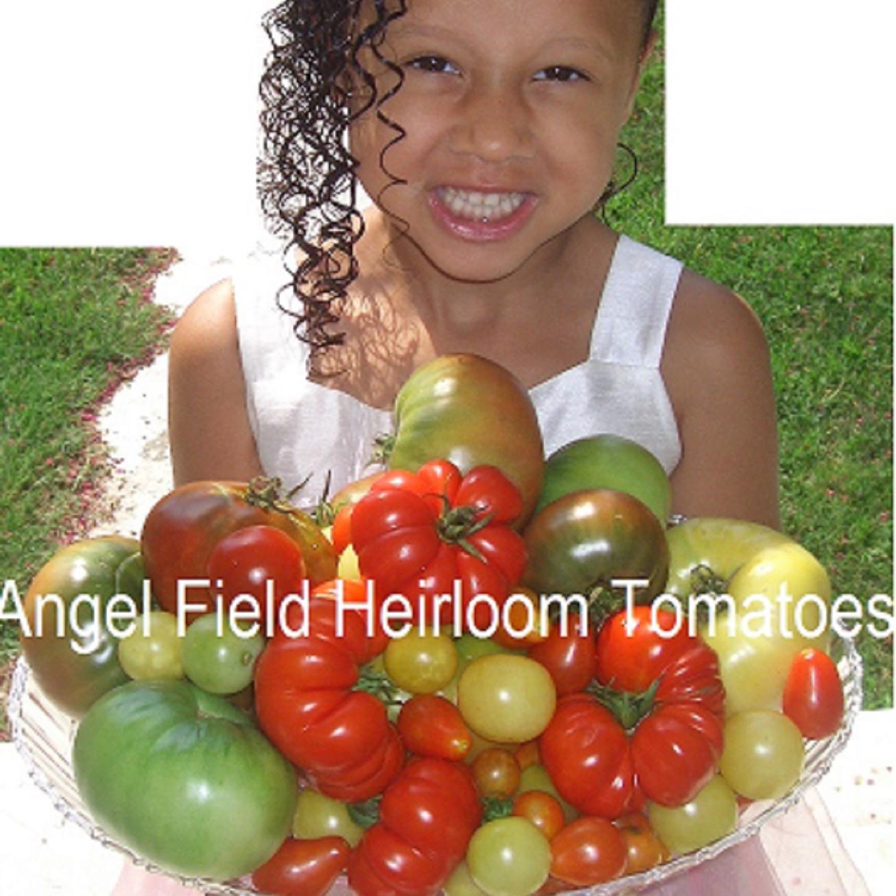 We Grow Historical Heirloom Fruits & Vegetables which are organically protected with much farming love, providing the best seeds for your home garden.
