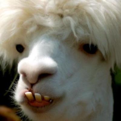 Im back bitch.