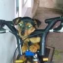 Larissa Ruiz - @LRuiz199 - Twitter