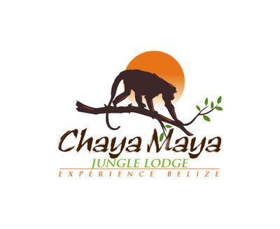 Jungle lodge in Cayo #Belize.  Experience Mayan ruins, cave tubing, cabanas, bird watching 303-264-8333 http://t.co/dSHfqYZ07M chayamayajunglelodge@yahoo.com