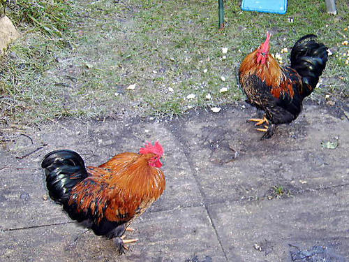 jamjarfisher's profile picture. 