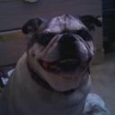 irwin sachs - @irwin_sachs - Twitter