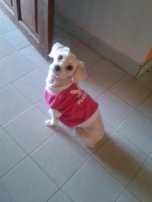 AmPg_6's profile picture. Asistente de RRHH,EMPRESAS,CONTABLE,TRIBUTARIO,  LCDA.CONTADURIA P. #UDOANZ