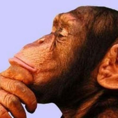 SergioC77864813's profile picture. 