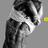 xFitnessAddict's profile image