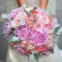 Bride & Blossom (@brideandblossom) 's Twitter Profile Photo Bride & Blossom (@brideandblossom) 's Twitter Profile Photo