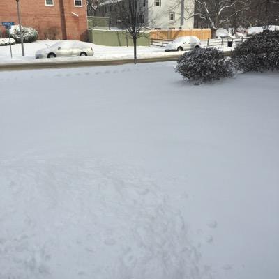 castroclaudia63's profile picture. 