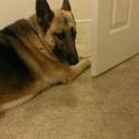 CastleS - @SandyCastle_ - Twitter