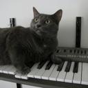 mark borgman - @marborg97 - Twitter