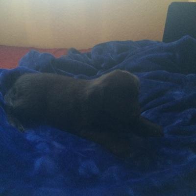 montanezjorge71's profile picture. 