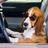 AuthorLilaBruce's profile image