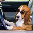 Lila Bruce - @AuthorLilaBruce - Twitter