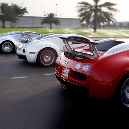 domikid01's profile picture. 