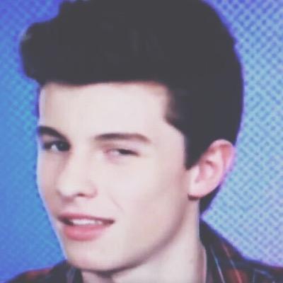 FOLLOW @mendesuniverse & @mendesanthem  !!! they can help you with follows