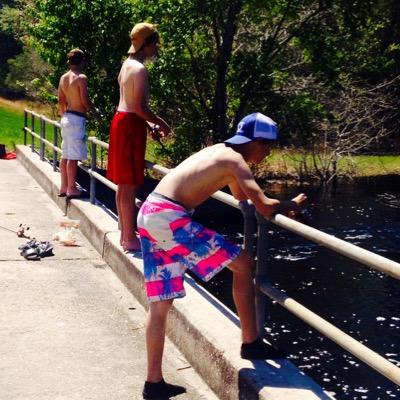 landonhowling1's profile picture. CCHS:baseball sc:landonhowling1