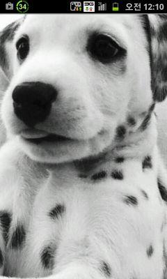 jongrangk's profile picture. 