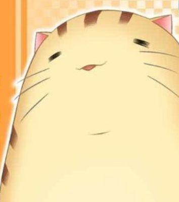 ただの屍さんのプロフィール画像