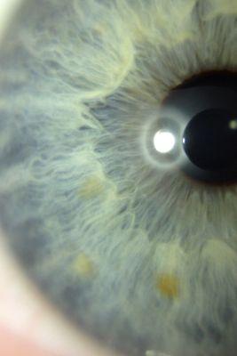 _dd123_'s profile picture. Avi is me, 17, Gay, Single; “You only live once, but if you do it right, once is enough.