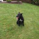 Gary Stouffer - @Garsto65Gary - Twitter