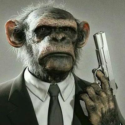 DISGIIZ's profile picture. JAMAICA