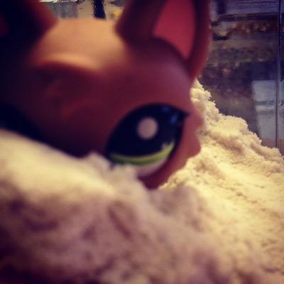 I'm an Lps tuber and proud!