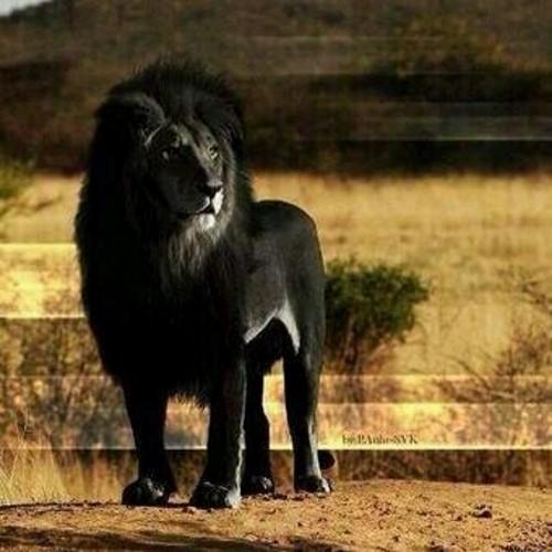 Nasar820522's profile picture. Just Handle It For KNOW How Sincere You'Re( تِلۡكَ آيَاتُ اللَّهِ نَتۡلُوهَا عَلَيۡكَ بِالۡحَقِّ فَبِأَيِّ حَدِيثٍ بَعۡدَ اللَّهِ وَآيَاتِهِ يُؤۡمِنُونَ (6NSR