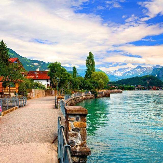 nobitadc's profile picture. just try