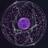 JDaijo's profile image