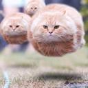 Natalie Luttrell - @NJMESSMER777 - Twitter