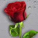 Becky Wagner - @mrsbeckywagner - Twitter