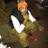 EwEeZy_631's profile image
