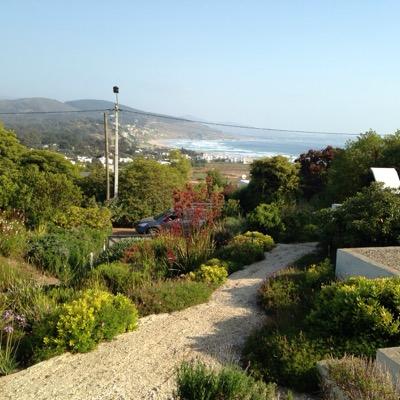 vero19621964's profile picture. 